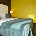 Der Valk 's-hertogenbosch - פוכט